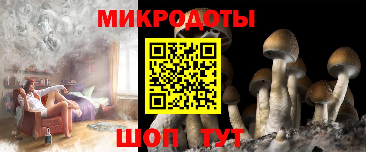 Галлюциногенные грибы Magic Shrooms  Вход с VPN  Ачхой-Мартан 